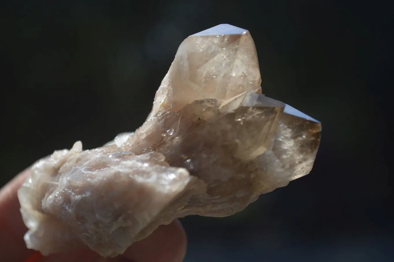 Natural Cascading White Phantom Smokey Quartz Crystal Clusters x 13 From Luena, Congo