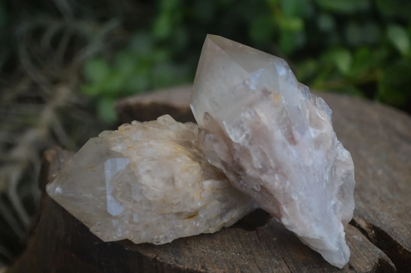 Natural Cascading White Phantom Smokey Quartz Crystal Clusters x 13 From Luena, Congo