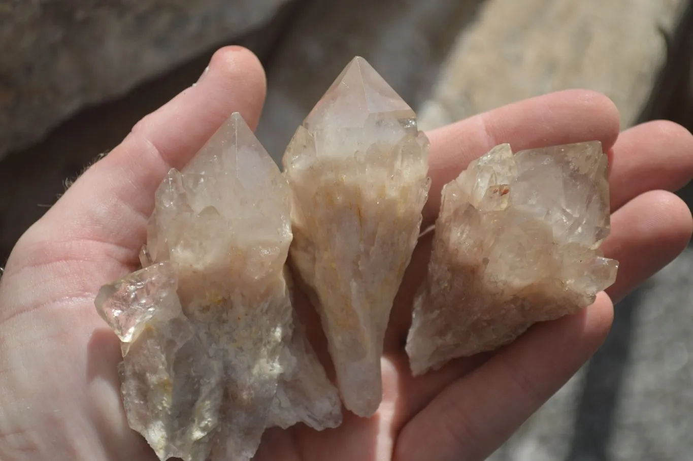 Natural Cascading White Phantom Smokey Quartz Crystal Clusters x 13 From Luena, Congo