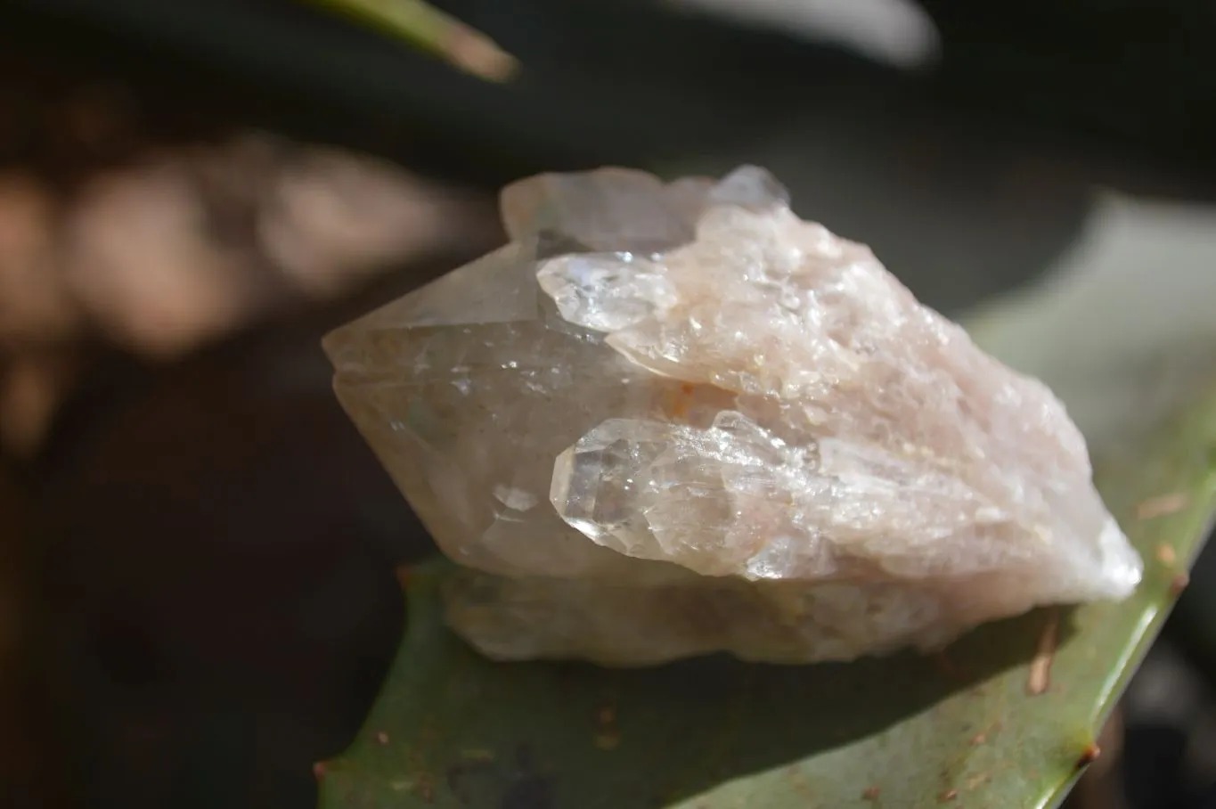 Natural Cascading White Phantom Smokey Quartz Crystal Clusters x 13 From Luena, Congo