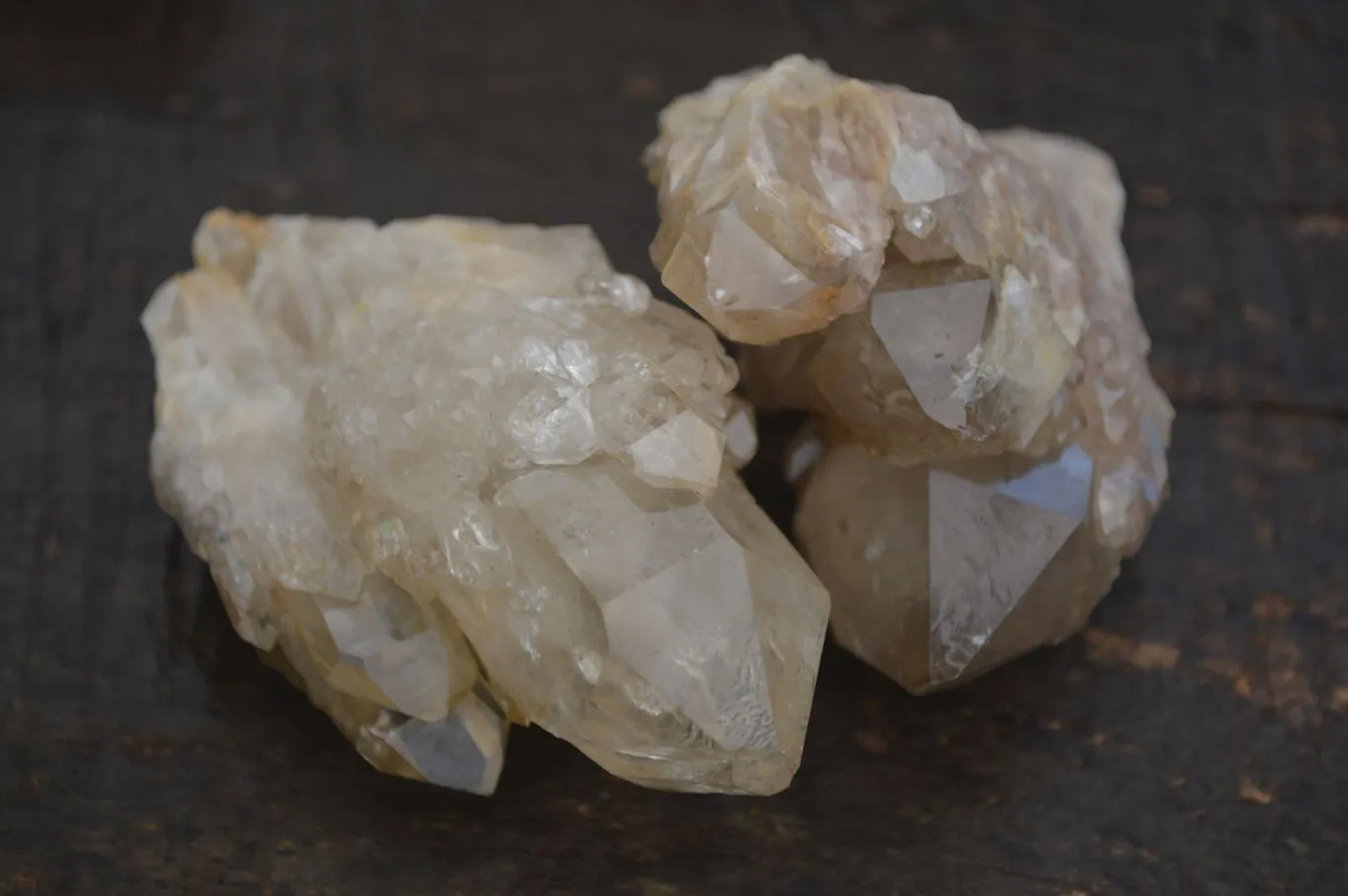 Natural Cascading White Phantom Smokey Quartz Crystal Clusters x 13 From Luena, Congo