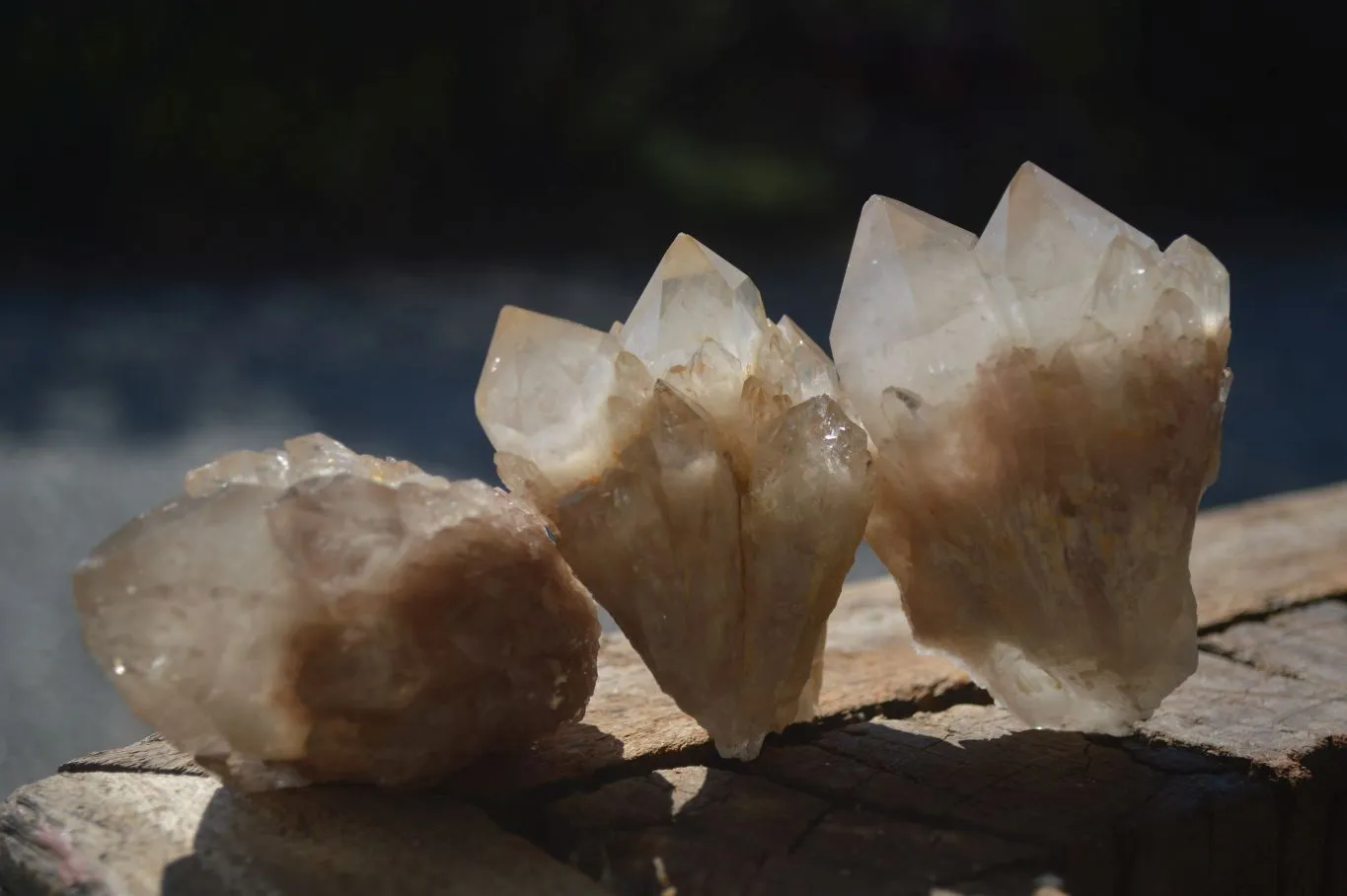 Natural Cascading White Phantom Smokey Quartz Crystal Clusters x 13 From Luena, Congo