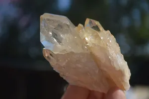 Natural Cascading White Phantom Smokey Quartz Crystal Clusters x 13 From Luena, Congo
