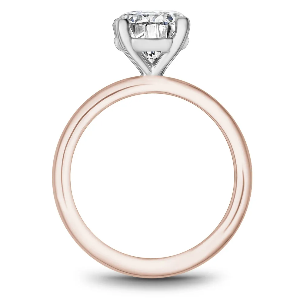Noam Carver Engagement Ring - B371-01RWS-100A